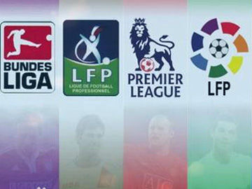 项目注入新 项目注入新