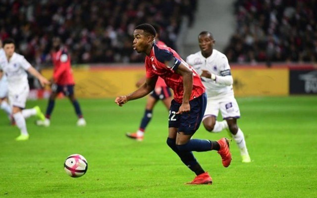 即时战力 即时战力